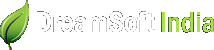 DreamSoftIndia Logo